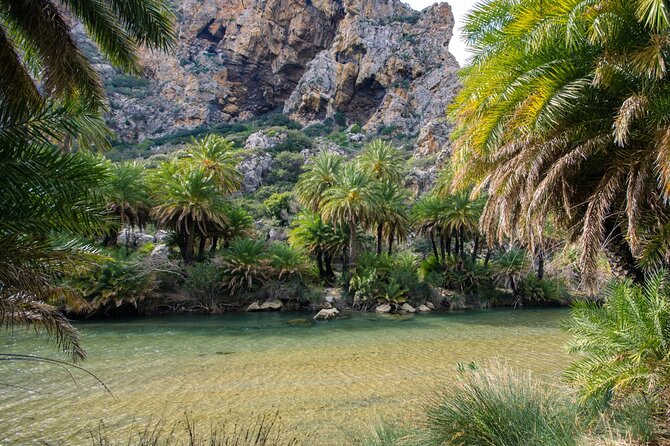 Preveli Palm Beach Boat Cruise & Rethymnon Town From Heraklion - Competitive Pricing and Affordable Rates
