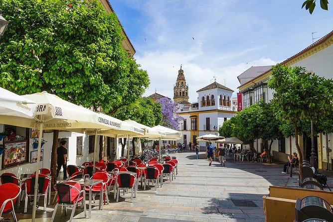 Private 10-Hour Shore Excursion From Motril Cruise Port to Cordoba - The Sum Up