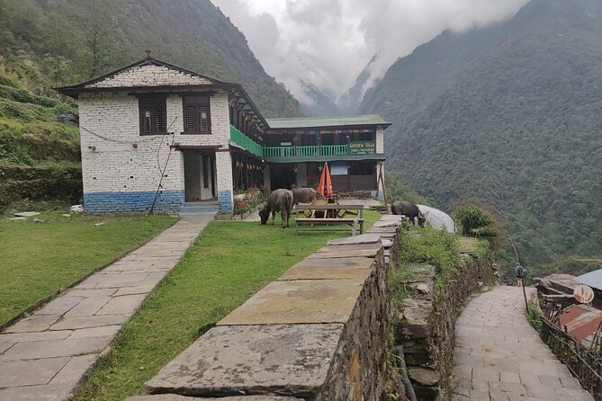 Private 12-Day All Inclusive Guided Annapurna Base Camp Trek Tour - Common Questions