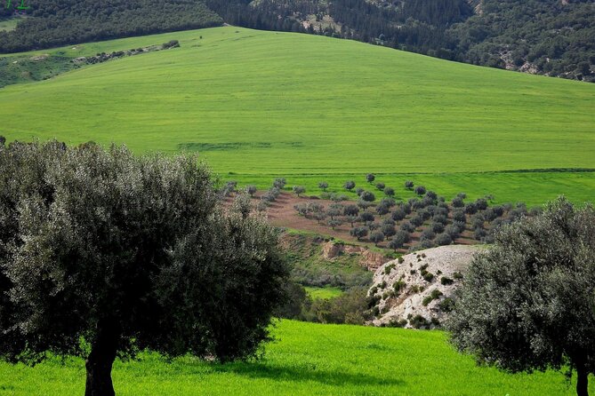 Private 2-Day Tour of Northern Tunisia From Tunis - Optional Activities and Add-Ons