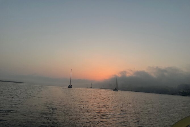 Private 2H Boat Tour on the Douro River at Sunset - Terms and Conditions for a Smooth Sailing Experience