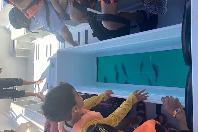 Private 3-Hour Snorkeling Tour on Glass Bottom Boat - Cancellation Policy