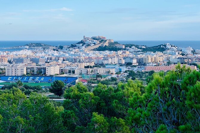 Private 4-Hour Walking Tour of Ibiza With Official Tour Guide - Directions