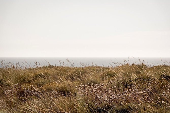 Private 75-Minute Horseback Riding Excursion on the Beach in  - Setubal District - Cancellation Policy