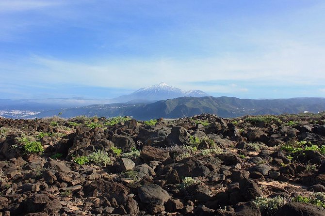 Private 8-Hour Shore Excursion to El Teide Cable Car With Guide and Driver - Tour Availability and Reservation