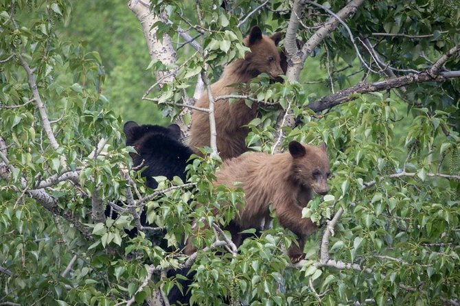 Private All-Day Tour of Grand Teton National Park - Directions
