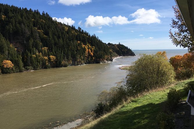 Private All-Day Tour of New Brunswick by Bus  - Saint John - Positive Tour Experience and Compliments for the Guide