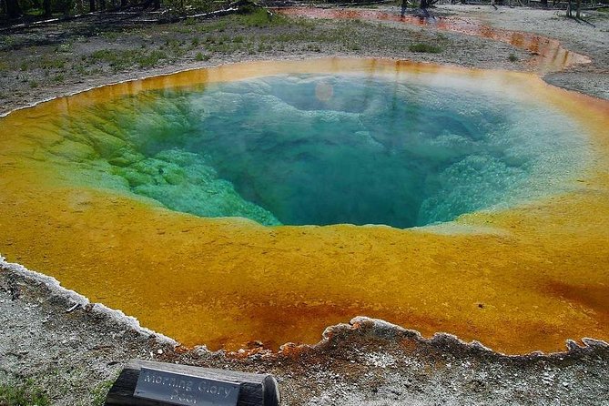 Private All-Day Tour of Yellowstone National Park - Wildlife and Nature Experiences