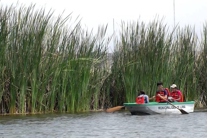 Private and Exclusive Nature and Trek in Chorrillos - Private Transportation and Parking Fees