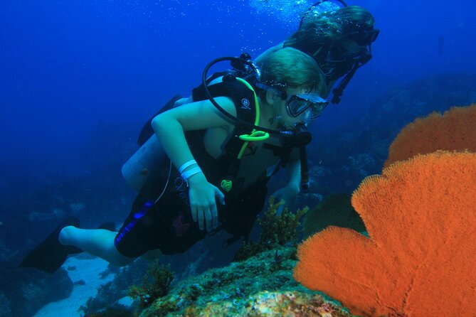 Private Beginner Scuba Diving Experience in Cabo San Lucas - The Best Dive Sites in Cabo San Lucas