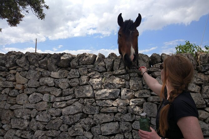 Private Bike Tour With Olive Oil Tasting - Common Questions