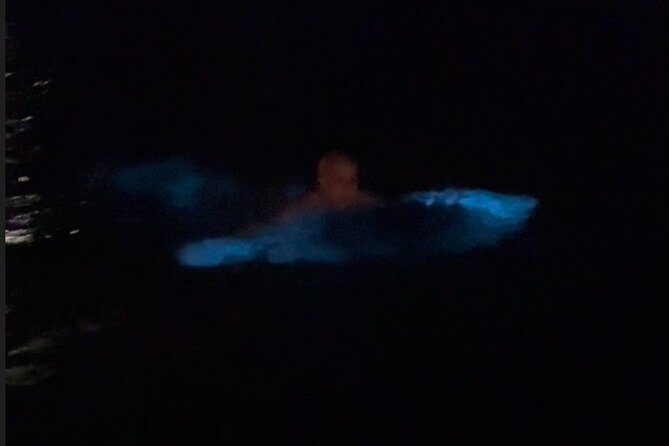 Private: Bioluminescence Tour - 6 Guests - Tour Representation