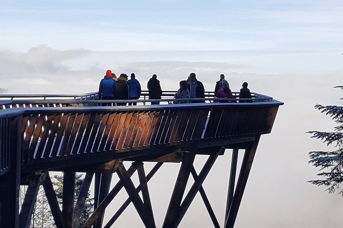 Private Black Forest Tour: From Baden-Baden to Freiburg - The Sum Up