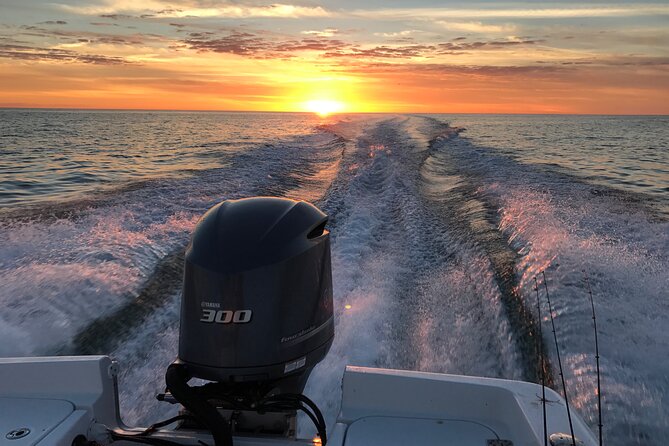 Private Boat Offering Dolphin Watching, Island Excursions and Nature Tours - Wildlife Spotting in the Gulf