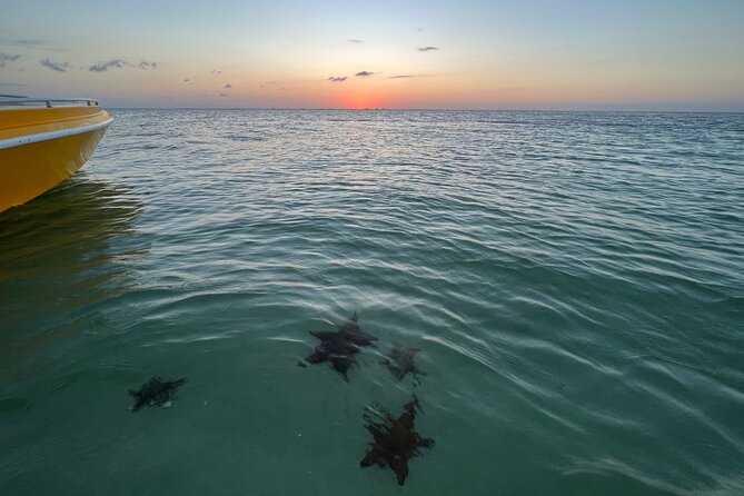 Private Boat Tours: Customize Your Grand Cayman Adventure! - Terms and Conditions