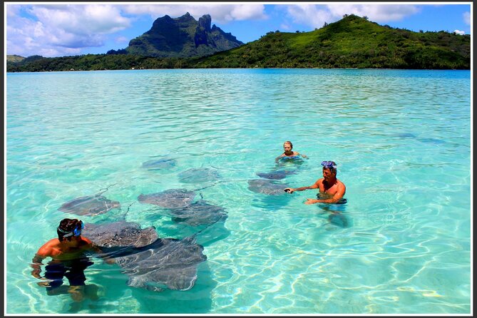 Private Bora Bora Lagoon & Water Lunch Experience - Customer Reviews