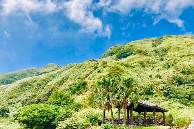 Private Car Charter in Yangmingshan Park(Pro Guide Driver) - Additional Information