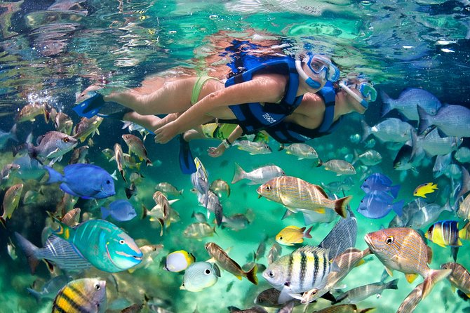 Private Catamaran Snorkeling Adventure From Punta Cana - The Sum Up
