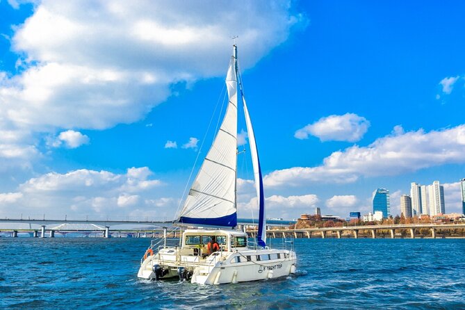 Private Catamaran Yacht Tour in Han River - Reviews and Additional Information
