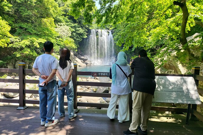 Private Day Tour in South in Jeju Island - Personal Expenses and Gratuities