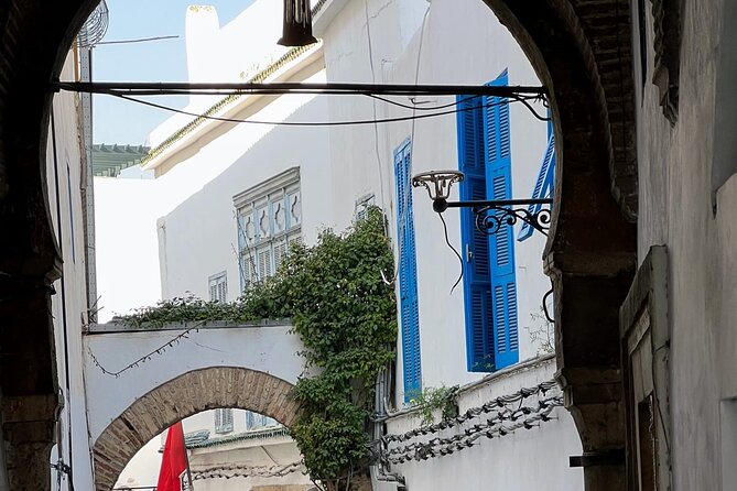 Private Day Tour Tunis Medina Carthage Sidi Bou Said Bardo Museum - Additional Information