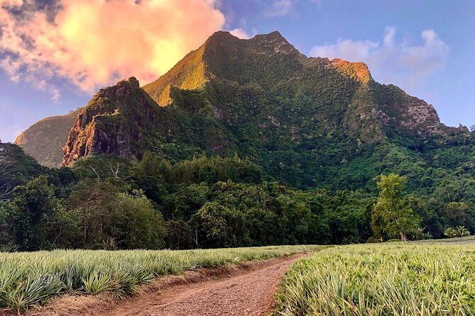 Private Day Trip Hike and Boat in Moorea - Good To Know