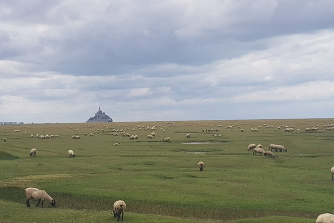 Private Day Trip to Mont Saint-Michel From Saint-Malo - Cancellation Policy