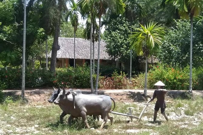 Private Day Trip to Visit MY LAI MASSACRE From Hoi an or Da Nang City - Directions and Transportation