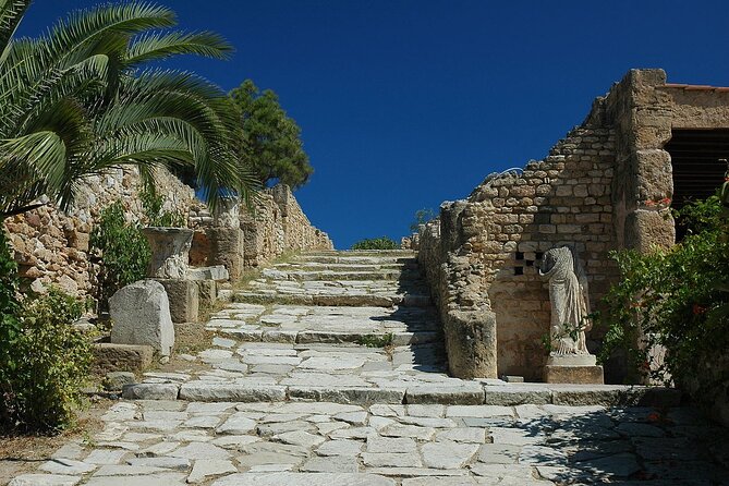 Private Day Trip Tunis Carthage Sidi Bou Said - The Sum Up