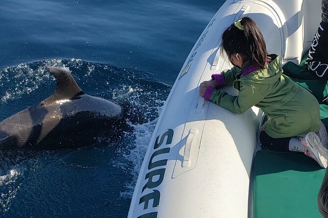 Private Dolphin and Whale Watching Tour in Newport Beach - Meeting and Pickup Details