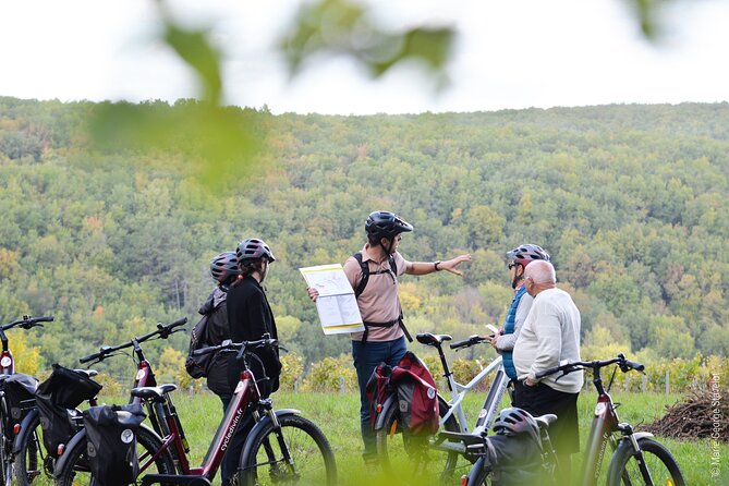 Private E-Bike Tour With a Guide in the Vineyards of Chablis - Reviews and Ratings