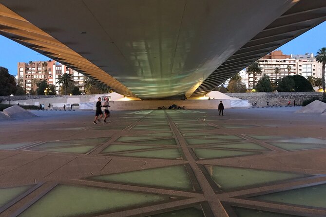 Private E-Scooter Tour City of Art and Science in Valencia City - Common Questions