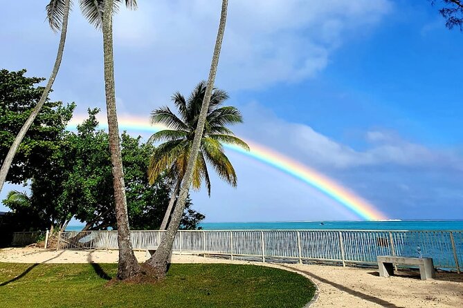 Private Excursion With Bike Paddle in Moorea and Snorkeling - The Sum Up