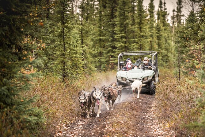 Private Fall Foliage Mushing Cart Ride in Fairbanks - Common Questions