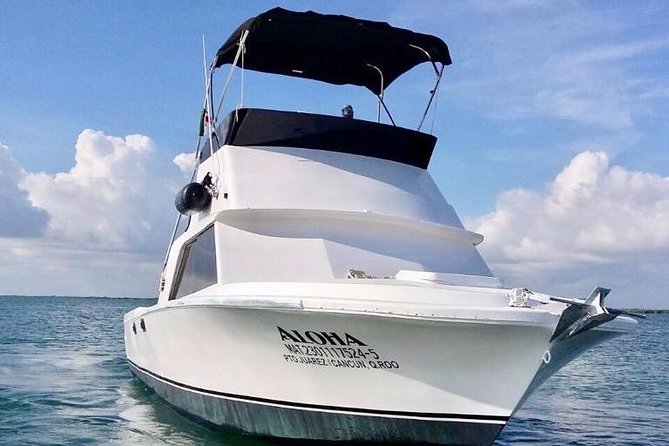Private Fishing Charter Bertram 31ft 6 Pax Max if You Dont Fish You Dont Pay - COVID Safety Requirements