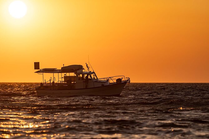Private Full Day Cruise From Pollonia to Polyaigos - Booking and Contact Information