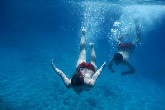 Private Full Day Cruise Tour in Naxos Town - Reviews