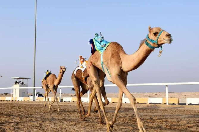 Private Full Day Guided Tour in Qatar North and West - Booking Information