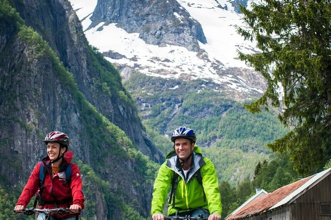 Private Full-Day Round Trip From Oslo to Sognefjord via Flåm Railway - Customer Feedback and Hosts Responses