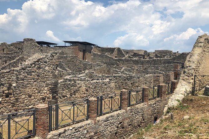 Private Full Day Tour Ruins of Pompei and Wine Tasting Experience - Itinerary for the Full Day Tour