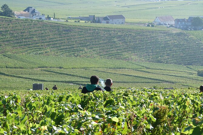 Private Full Day Tour With 2 Boutique Grower Champagne Houses - The Sum Up
