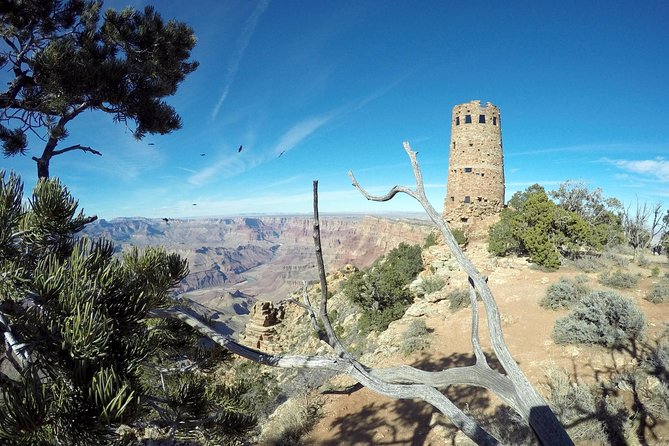 Private Grand Canyon Sightseeing Tour From Williams Tusayan GCV - Additional Information