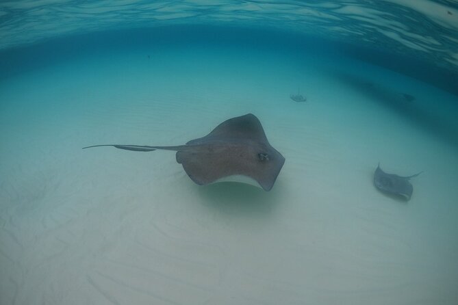 Private Grand Cayman Charters - The Sum Up