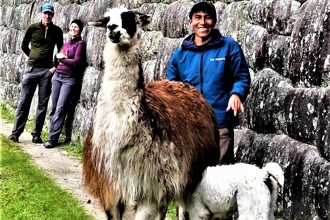 Private Guide for Machu Picchu - 3 Hours - Overview and Experience