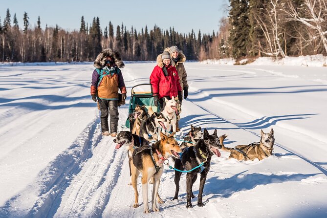 Private Guided Chena River Mush Dream Vacation in Fairbanks - Experience Alaskan Tradition of Mushing