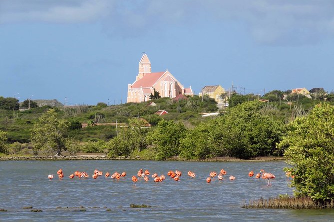 Private Guided Tour of Curacao  - Willemstad - The Sum Up