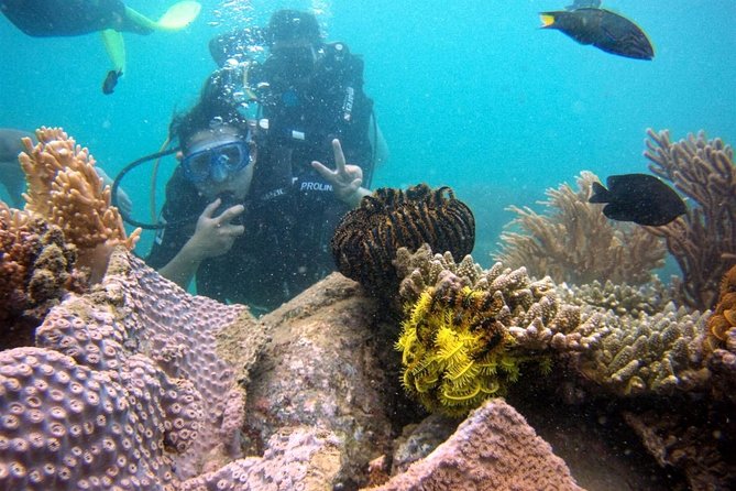 Private Guided Tour Scuba Diving At Marine Protected Area Included Lunch - Common Questions