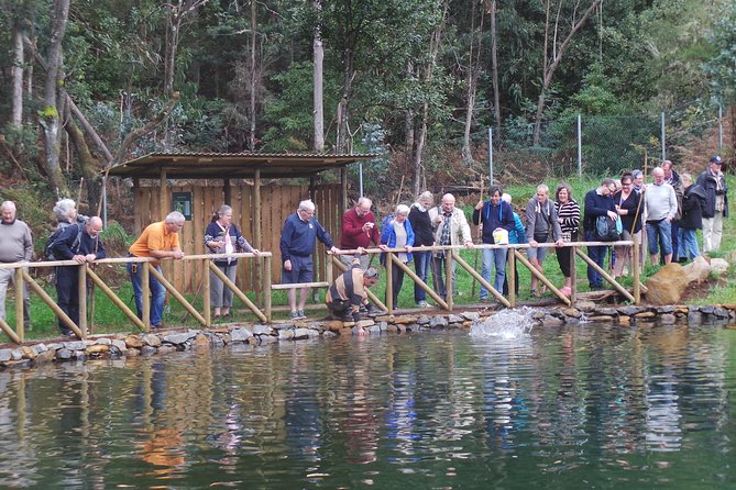 Private Half-Day 4X4 Tour: East or West - Common Questions