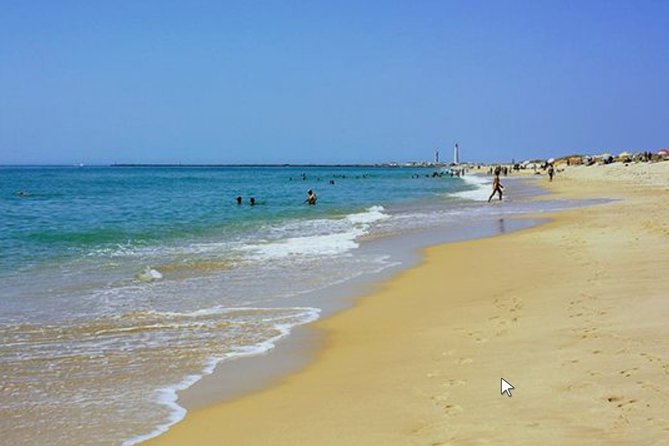 Private Half-Day Boat Tour in Ria Formosa From Faro - Ria Formosa Natural Park