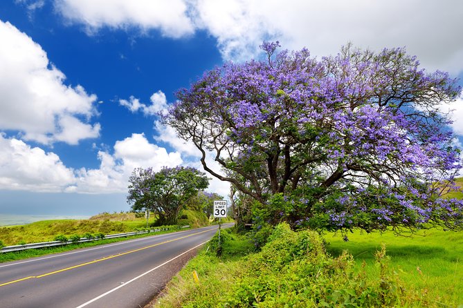 Private Half-Day Haleakalā Hike in Kahului  - Maui - The Sum Up